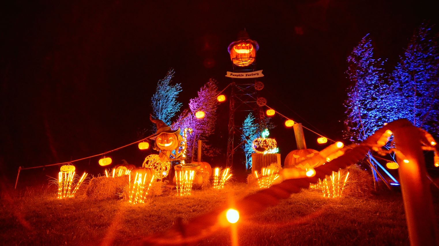 Lichtkonzept Dekoration Halloween lyspark Dänemark